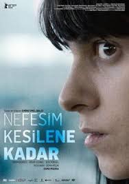 turkce dublaj altyazili full hd tek parca 720p online film izle film izleme sinema