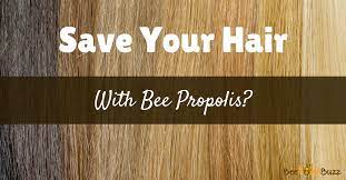 Bee pollen, which comes from the pollen that collects on the bodies of bees, is touted as a superfood due to its protein, amino acid and vitamin content. Propolis And Hair Loss