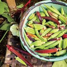 On the other end of the height spectrum, you'll find the okra plant called stubby. A Guide To Growing Okra Okra Plant Care Southern Living