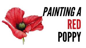 How To Paint A Poppy With Inktense In Red Red Poppies Seem To Attract More Bumble Bees Than Other Flower Flower Art Drawing Watercolor Poppies Poppy Flower Art