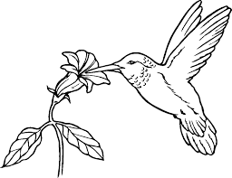 The spruce / wenjia tang take a break and have some fun with this collection of free, printable co. Hummingbird Coloring Page Coloring Home