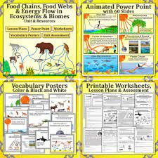 Food Chains Food Webs Energy Flow In Ecosystems And Biomes Unit Food Chain Food Web Ecosystems