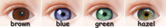 According to the laws of genetics babies eye color is inherited from the following factors: The Most Accurate Baby Genetics Calculator 2021 Version Mommyhood101