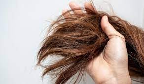 Se hai un cuoio capelluto sensibile che è soggetto a irritazione o stai semplicemente … Come Lavare I Capelli Secchi E Sfibrati Senza Rovinarli