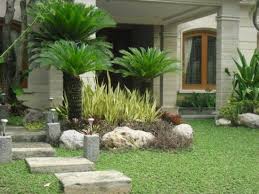 Tematik taman bunga, tips membangunnya di halaman rumah. Pohon Palem Untuk Hiasan Taman Minimalis 21 Kebun Kecil Taman Dekorasi Minimalis