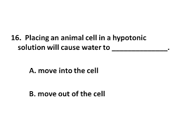 Check spelling or type a new query. Osmosis Review The Cell Membrane Separates The Internal Cell Solution From The Exterior Cell Solution Solution Solution Ppt Video Online Download