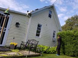 Our versatile services include exterior cleaning, window and gutter cleaning, roof washing or roof cleaning, and christmas light installation. Exterior House Cleaning Pressure Washing Of St Petersburg