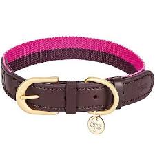 Blueberry Pet Polyester Genuine Leather Dog Collar Small Ebay