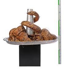 Share the best gifs now >>>. Indiana Jones And The Temple Of Doom 1984 Sfx Banquet Snake Platter Current Price 9500
