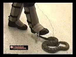 Crackshot Snake Guardz Snake Leggings Fits Kids Adults Husky