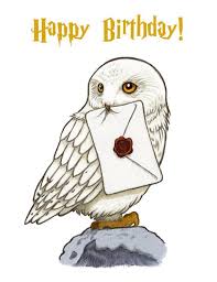 Harry Potter Card Hedwig Card Birthday Card Fun Card Greeting Card Harry Potter Art Ha Harry Potter Art Drawings Harry Potter Stickers Harry Potter Cards