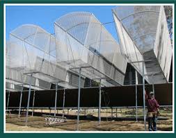 Bird Aviary For Sale South Africa Great Suspended Aviary Design Gives Parrots Security Look How High It Is