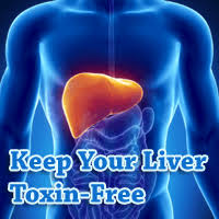 Pin On Our Liver Function