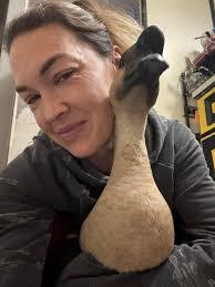 Layla Higgins's Instagram, Twitter & Facebook