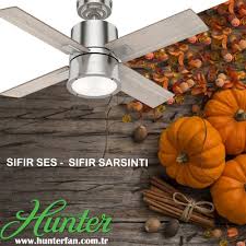 Tavan Vantilatoru Zararli Mi Dekoratif Ve Kaliteli Tavan Vantilatoru Hunter Fan Turkiye