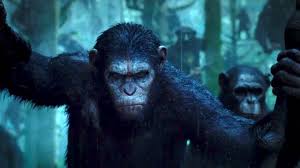 En effet, là où le roman nous dépeint une planète dominée par les singes au détriment des humains réduits à la condition d'animaux, les films. La Planete Des Singes Nouveau Film En Preparation