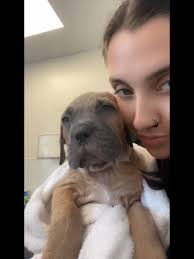 hannah simonds (@hannahxsimonds)