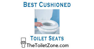 Raised toilet seats are a necessity to the elderly and disabled. 7 Best Padded Toilet Seats Soft Seats Worth Your Hard Earned Money
