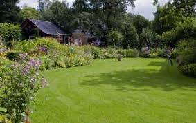We did not find results for: Lawn Treatments Leamington Spa Garden Services