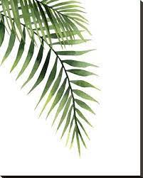 Palm Art Print Ann Solo Art Com Palm Trees Painting Plant Painting Plant Art