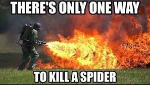 Burn It With Fire Meme Google Search Spiders Funny Kill It With Fire Everything Funny