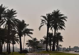 احصل على توقعات حالة الطقس والارصاد ساعة بساعة في قنا, قنا, مصر مع بيان بدرجة الحرارة ومعادلة realfeel‎ وفرص هطول الأمطار. Ø­Ø§Ù„Ø© Ø§Ù„Ø·Ù‚Ø³ ØµØ­Ùˆ ÙÙŠ Ø¹Ø±Ø¶ Ø§Ù„Ø¨Ø­Ø± ÙˆØ¶Ø¨Ø§Ø¨ Ø®ÙÙŠÙ Ø¹Ù„Ù‰ Ø§Ù„Ø³Ø§Ø­Ù„ Ø¬Ø±ÙŠØ¯Ø© Ø§Ù„Ø±Ø§ÙŠØ©