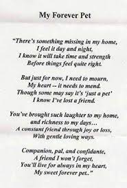 I only wanted you' 'i only wanted you' is one of the pet memorial poems that was originally intended to give comfort after human loss. Loss Of Pet Pet Poems Dog Poems Losing A Pet