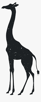 Want to discover art related to silhouette? Giraffe Tiger Silhouette Animal Drawing Silhouette Drawings Of Animals Hd Png Download Transparent Png Image Pngitem