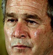 Här gråter Bush för Irak-kriget