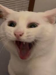 Clear the airspace!!