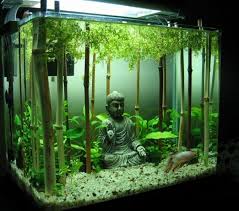 Entre Luxe Et Prestige Ces Interieurs Devraient Vous Plaire On Peut Toujours Rever Idee Deco Aquarium Deco Aquarium Reservoir Poissons Combattants