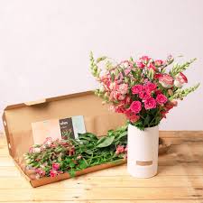 Send flowers uk next day. Molly Mae Letterbox Flowers Delivered Flowers Through The Letterbox Bunches