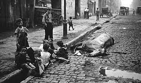 What Horses Left Behind In The 19th Century City New York City City Continents And Oceans