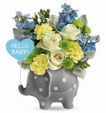 We did not find results for: Teleflora Hello Sweet Baby Flowers Bouquet Blue For Boy