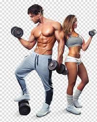 Pin the clipart you like. Exercise Fitness Centre Personal Trainer Physical Fitness General Fitness Training Dumbbell Transparent Background Png Clipart Hiclipart