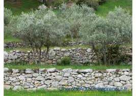 Chaque jardin, étant unique, demande un entretien spécifique. Jardin Entretien Exterieur Petites Annonces Pour Auto Entrepreneurs