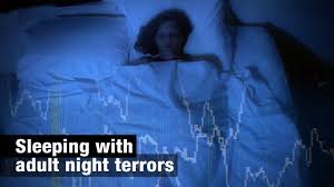 Image result for Night Terror