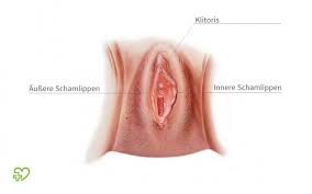 Die inneren schamlippen (labia minora, kleine schamlippen) ziehen vom schamhügel in richtung after und umfließen dabei die klitoris sowie den eingang der vagina. Smegma Nahrboden Fur Keime Onmeda De
