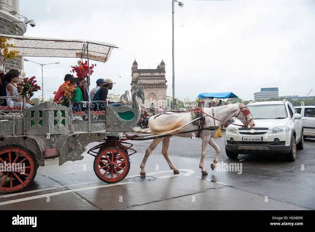 Horse cart ride at Gateway of India Bombay Mumbai Maharashtra India Stock Photo - Alamy