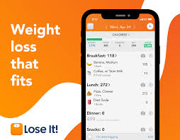 6 best calorie counting apps, according to nutritionists. Lose It Weight Loss That Fits