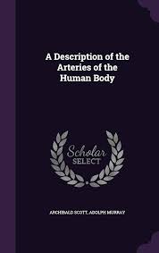 Amazon.co.jp: A Description of the Arteries of the Human Body : Scott,  Archibald, Murray, Adolph: 洋書