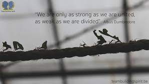 Pin On Team Spirit Quotes And Team Building Quotes