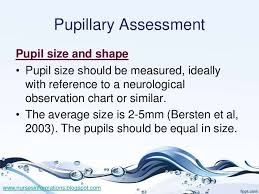 33 Pupillary Assessment Pupil Size Neurological