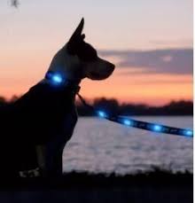 Nitebeam Led Lighted Dog Leash Rechargeable Dog Leads Leash Lighted Dog Leash Led Dog Collar