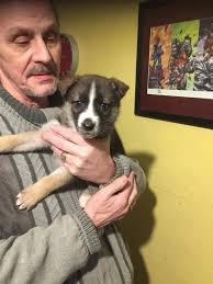 Who were the victims of Jake Davison?