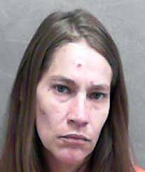 Mill Creek couple facing multiple charges