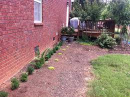 Maybe you would like to learn more about one of these? How To Design Your Landscape Like A Pro Proper Plant Spacing