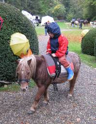 Schwärmt Ihr Kind auch von Ponys und vom Ponyreiten? Dann besuchen Sie uns  doch. Wir führen Ihr Kind schonend ans Pony heran.