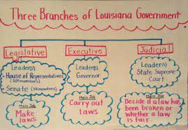 Three Branches Of Louisiana Government Social Studies Middle School Social Studies Social Studies Anchor Charts