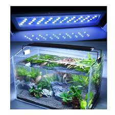 Excellent lamp, power corresponds to the description, it remains to check reliability, let's see how long. Jacksuper Bright Classic Led Aquarium Light Reef Plant Fish Tank Light With Extendable Brackets Aquatic Plant Growth Lamp White And Blue Leds Buy Online In Belize At Belize Desertcart Com Productid 63354660